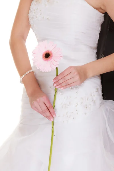 Bride holding pink flower — Stock Photo, Image