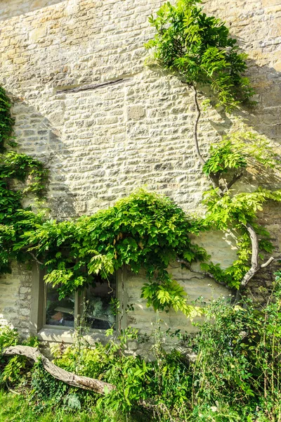 Antigua casa de piedra con hiedra verde — Foto de Stock