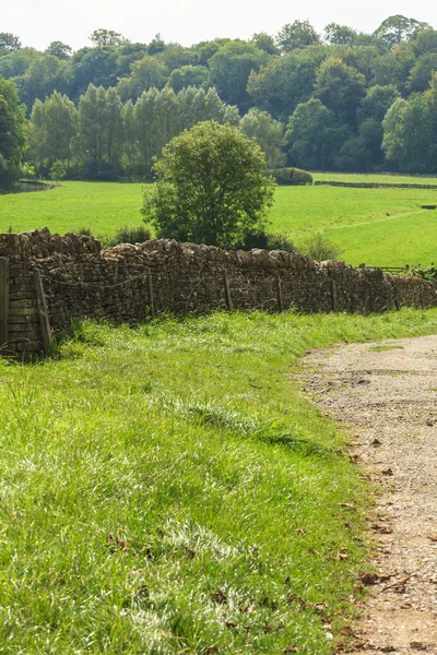 Platteland weergave van groene veld — Stockfoto