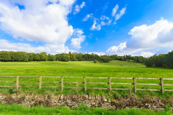 Green fields in England — Stock Photo, Image