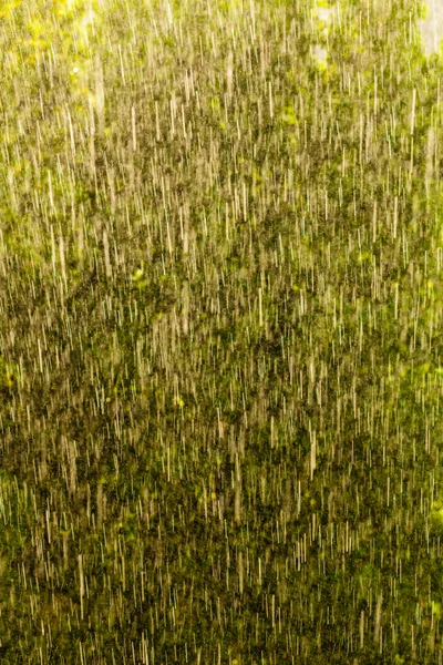 Regen buiten raam — Stockfoto