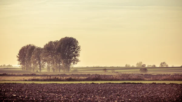 Teren agricol de toamnă — Fotografie, imagine de stoc