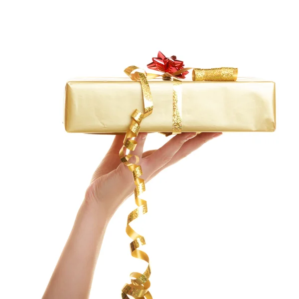 Girl holding  gift box — Stock Photo, Image
