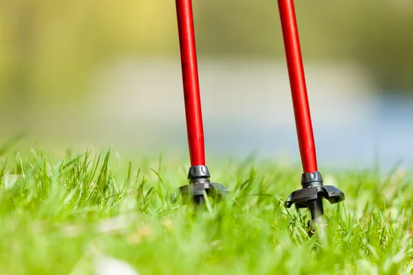 Sticks on grass in park — Stock Photo, Image