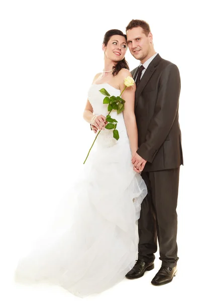 Manželský pár s růží. — Stock fotografie