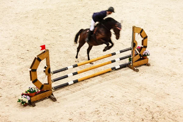 Horse and rider  jumping — Stock Photo, Image