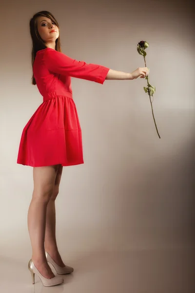 Teen flicka anläggning torr rose. — Stockfoto