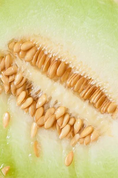 Sweet melon with pips — Stock Photo, Image