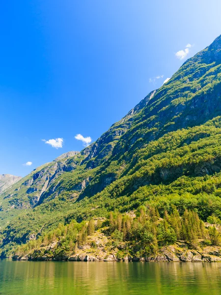 Hory a fjord v Norsku. — Stock fotografie