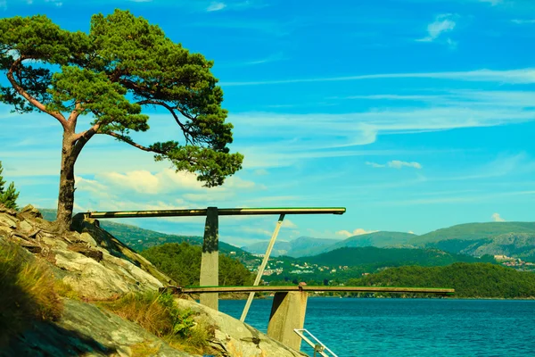 Trampolinen och fjorden landskap — Stockfoto