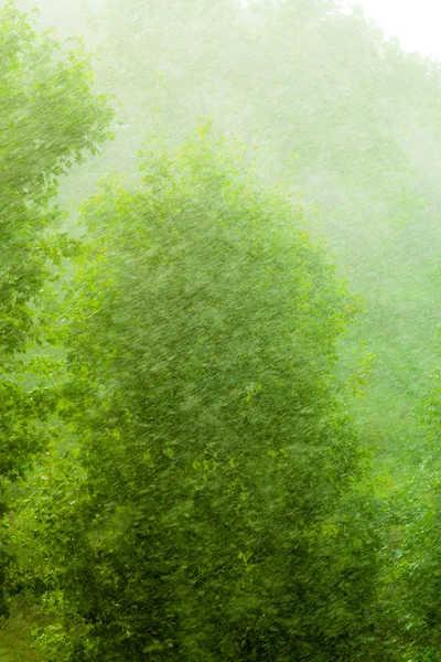 Pencere dışında yağışlı — Stok fotoğraf