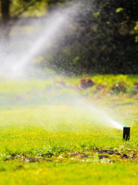 Sprinkler gramado pulverização de água — Fotografia de Stock