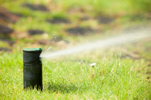 Aspersor de césped pulverización de agua —  Fotos de Stock