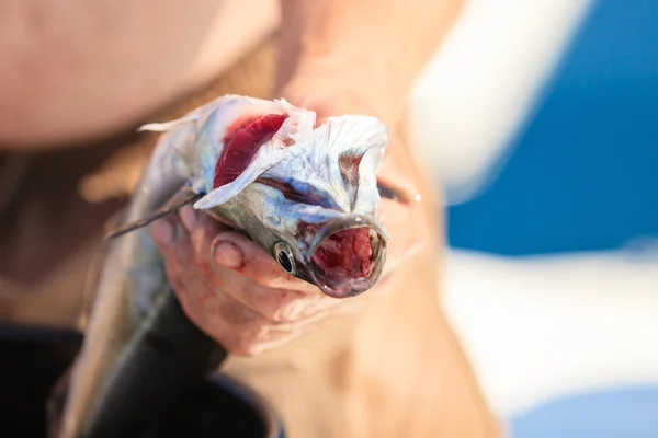 Homme nettoyant le poisson à l'extérieur — Photo