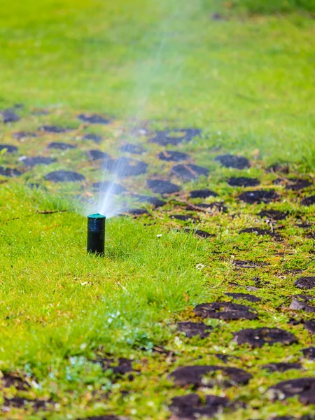 Gazon sprinkler sproeien van water — Stockfoto