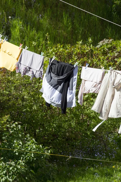 Laundry having to dry on line — стоковое фото