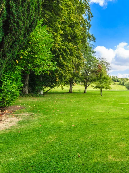 Campos verdes en Inglaterra — Foto de Stock