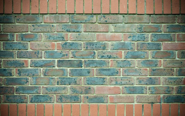 Kırmızı mavi tuğla duvar — Stok fotoğraf