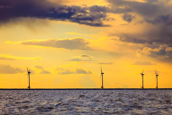 Wind turbines farm along coast — Stock Photo, Image