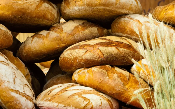 Brown  fresh rye bread loaves — Stock Photo, Image