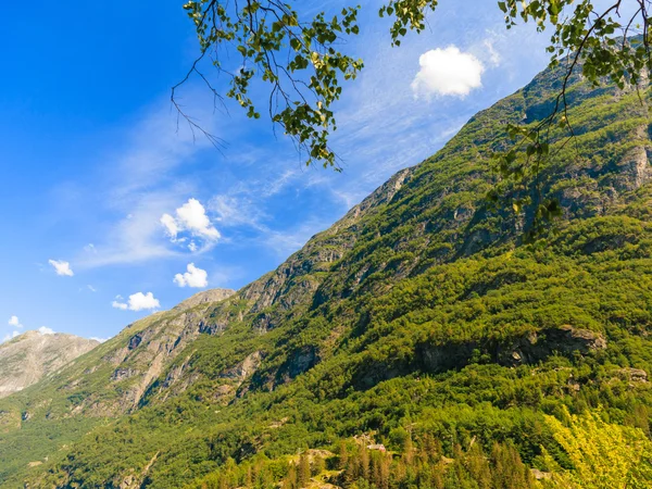 Turizm ve seyahat. dağlar ve Norveç Fiyordu. — Stok fotoğraf