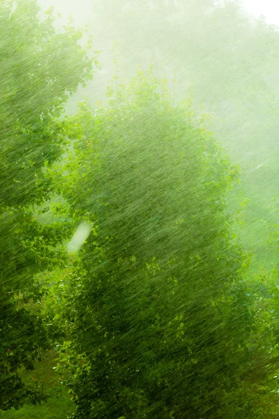 雨天外面窗口绿色背景纹理. — 图库照片