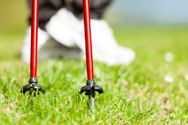 Frau wandert im Park. — Stockfoto