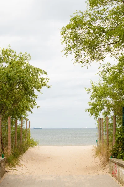 Summer vacation. Entrance to a sandy beach. Seascape. — Stock Photo, Image