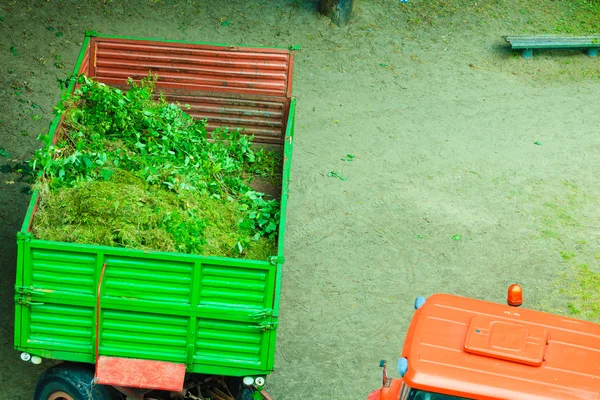 Works in public park, tractor with trailer — Stock Photo, Image