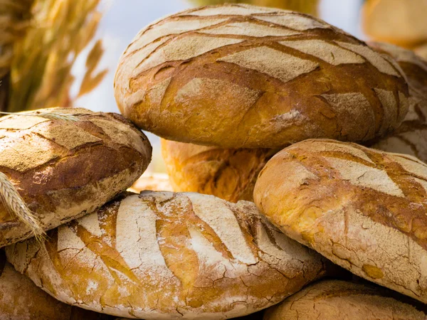 Many brown rustic fresh rye bread loaves — Stock Photo, Image