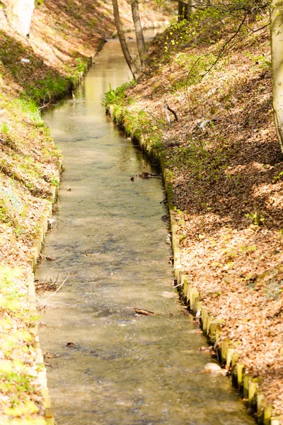 Cours d'eau dans la forêt automnale — Photo