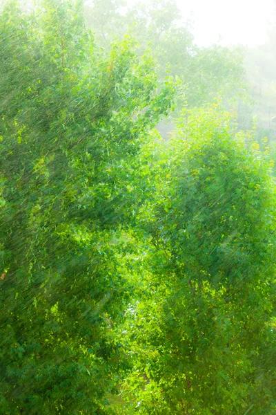 窓の外の雨緑の背景のテクスチャ. — ストック写真