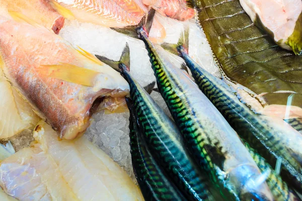 Peces en el mercado de pescado (Fisketorget) en Bergen, Noruega —  Fotos de Stock