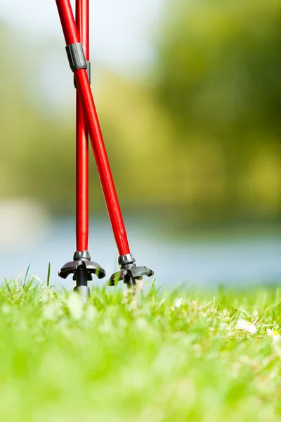 Caminhada nórdica. Varas vermelhas na grama no parque — Fotografia de Stock
