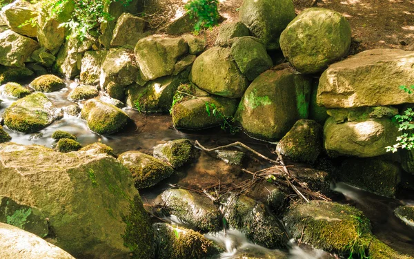 Stones in woods forest. stream in gdansk oliva park. — Stock Photo, Image