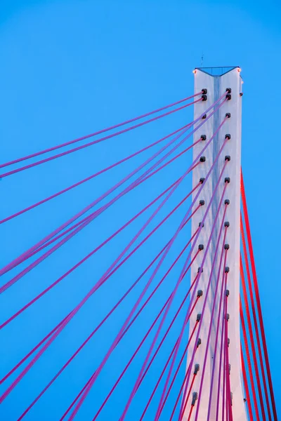 Pont suspendu au-dessus de Wisla à Gdansk Pologne . — Photo