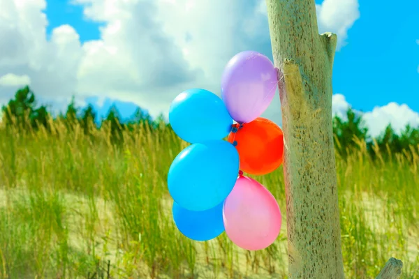 Balloon chain on sand dune beach — Stock Photo, Image