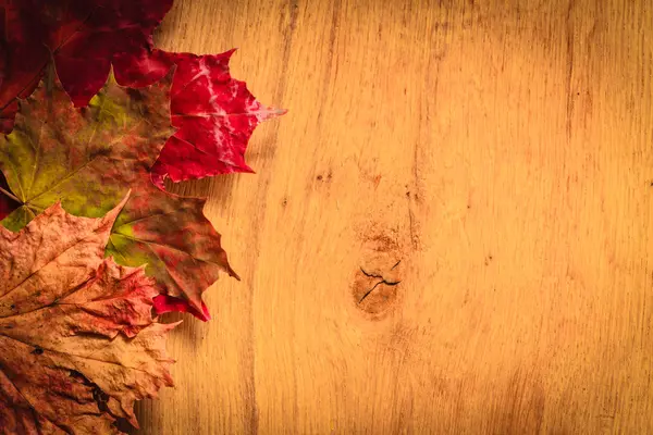 Foglie autunnali su fondo di legno — Foto Stock