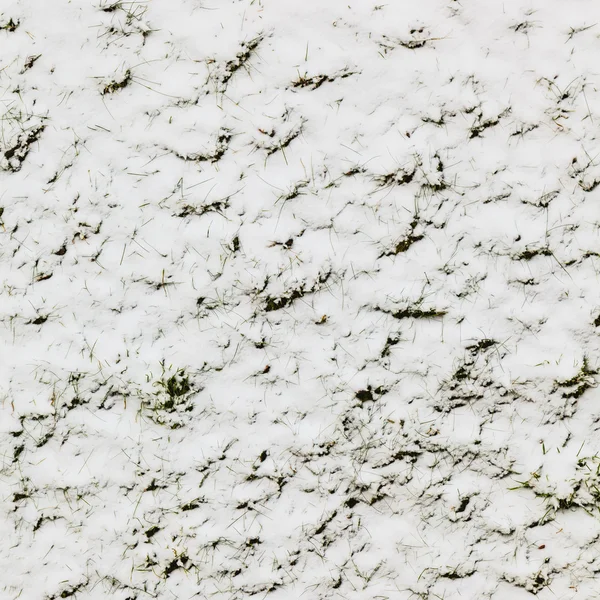 Świeży śnieg na Zielona trawa tło zbliżenie — Zdjęcie stockowe
