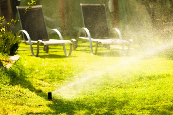 Trädgårdsarbete. Gräsmatta sprinkler sprutning vatten över gräs. — Stockfoto