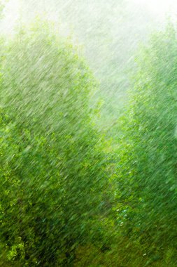 Rainy outside window green background texture. clipart