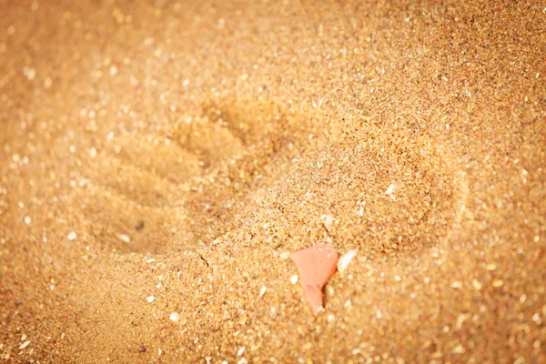 Footprint in golden sand on the shore of the sea — Stock Photo, Image