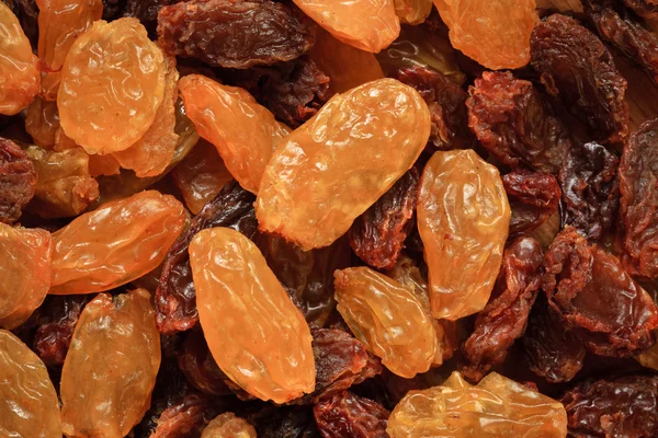 Raisin dried grape as background texture — Stock Photo, Image