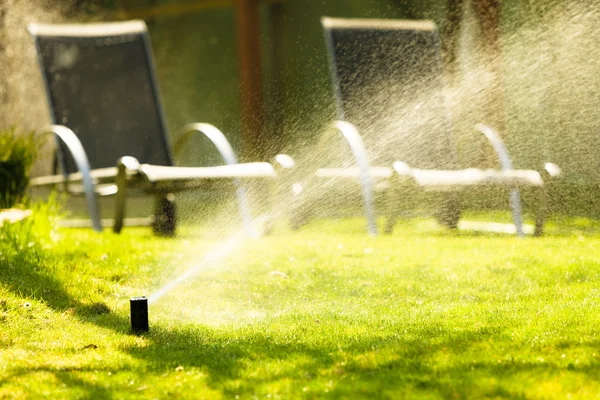 Trädgårdsarbete. Gräsmatta sprinkler sprutning vatten över gräs. — Stockfoto