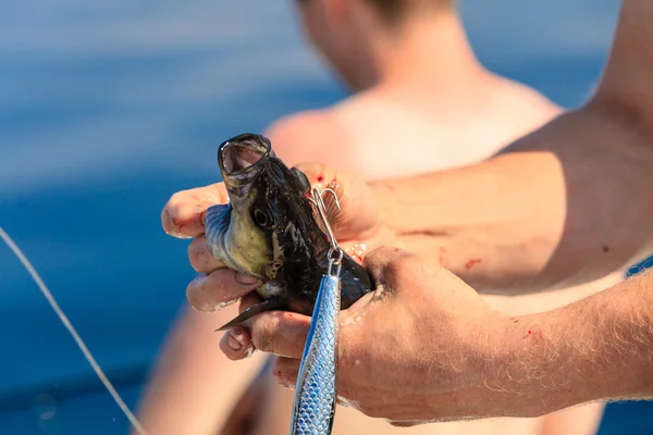 Saltwater fishing - fisherman holding fish — стоковое фото