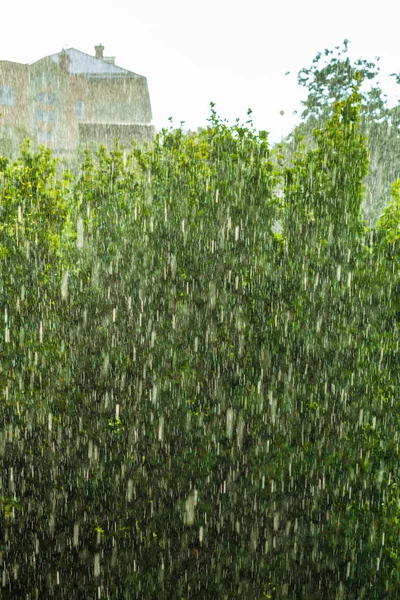 窗外的雨 — 图库照片
