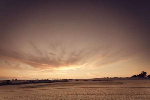 Beau coucher de soleil sur le champ d'été — Photo