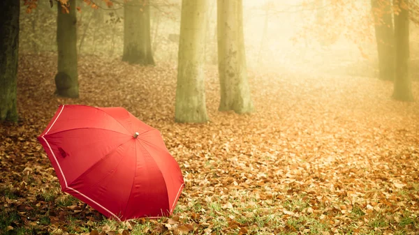 Rött paraply i höst park — Stockfoto