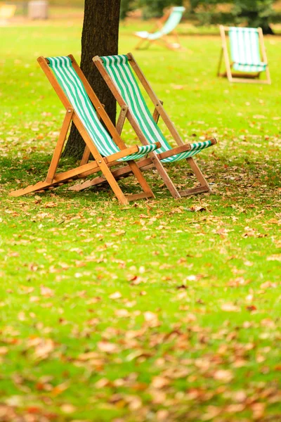 Пустые стулья в парке — стоковое фото