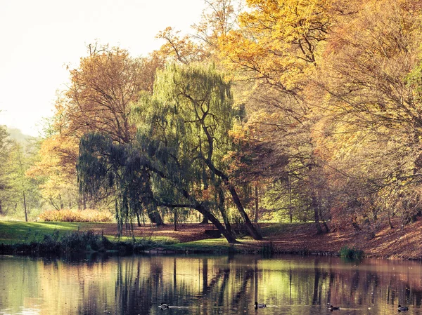 Stagno con alberi colorati — Foto Stock